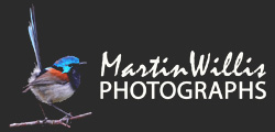 Martin Willis Photographs